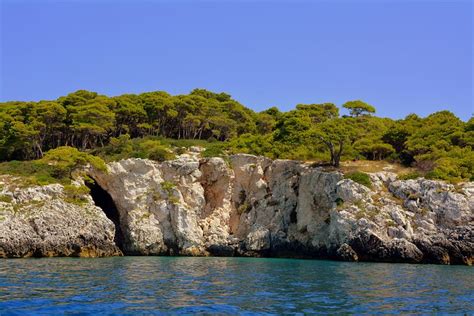 Discover and download free images .